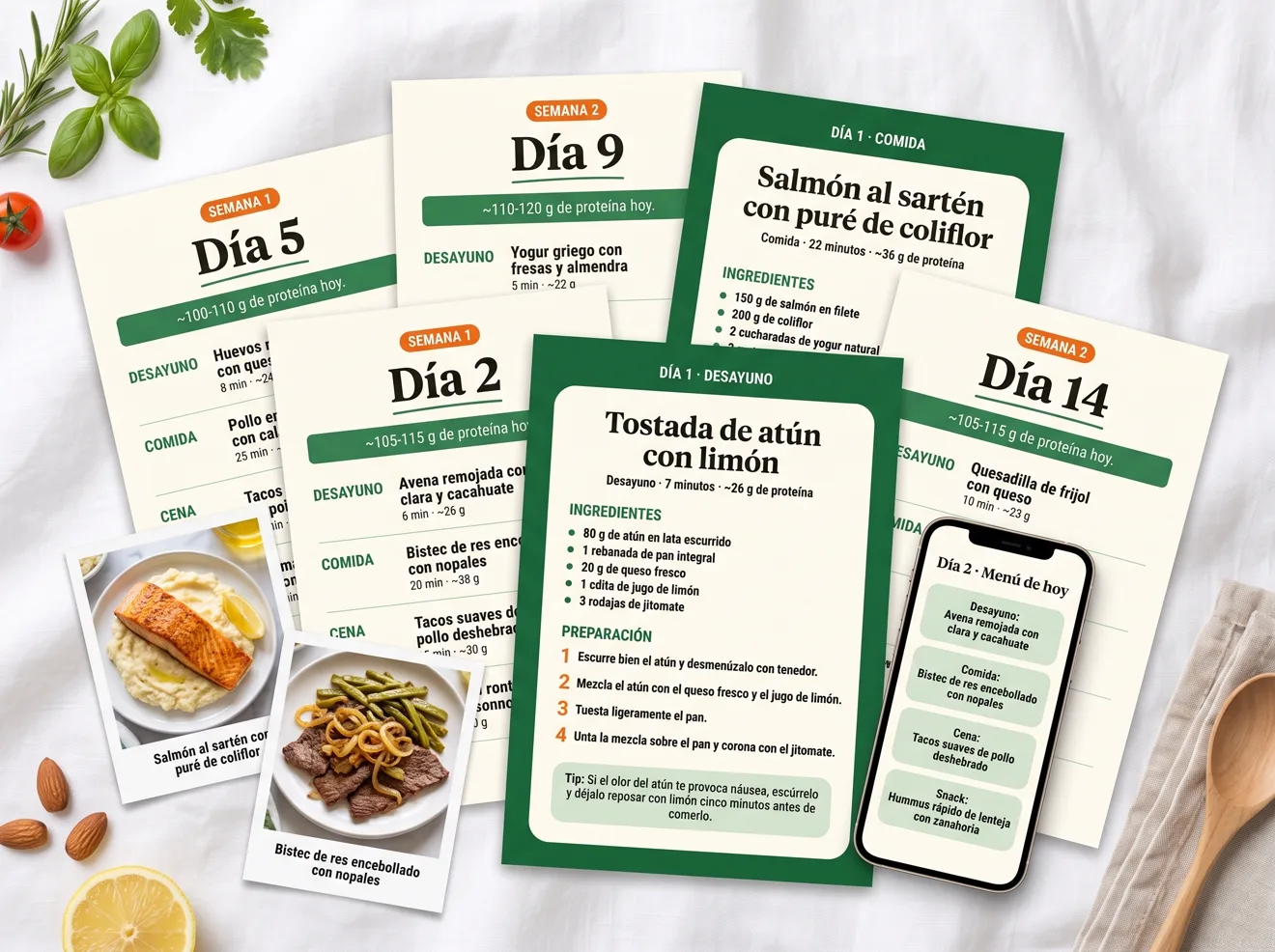 Hojas del plan con los menús del Día 2, 5, 9 y 14, fichas de receta paso a paso y el menú del día en el celular